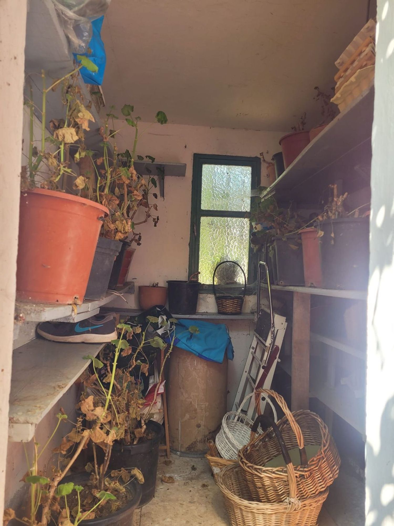 Casas o chalets-Venta-Matapozuelos-1834422-Foto-30