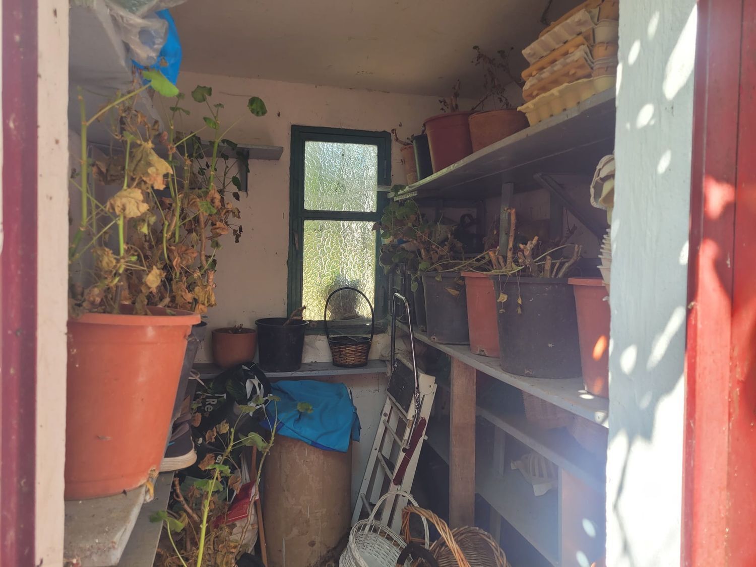 Casas o chalets-Venta-Matapozuelos-1834422-Foto-29