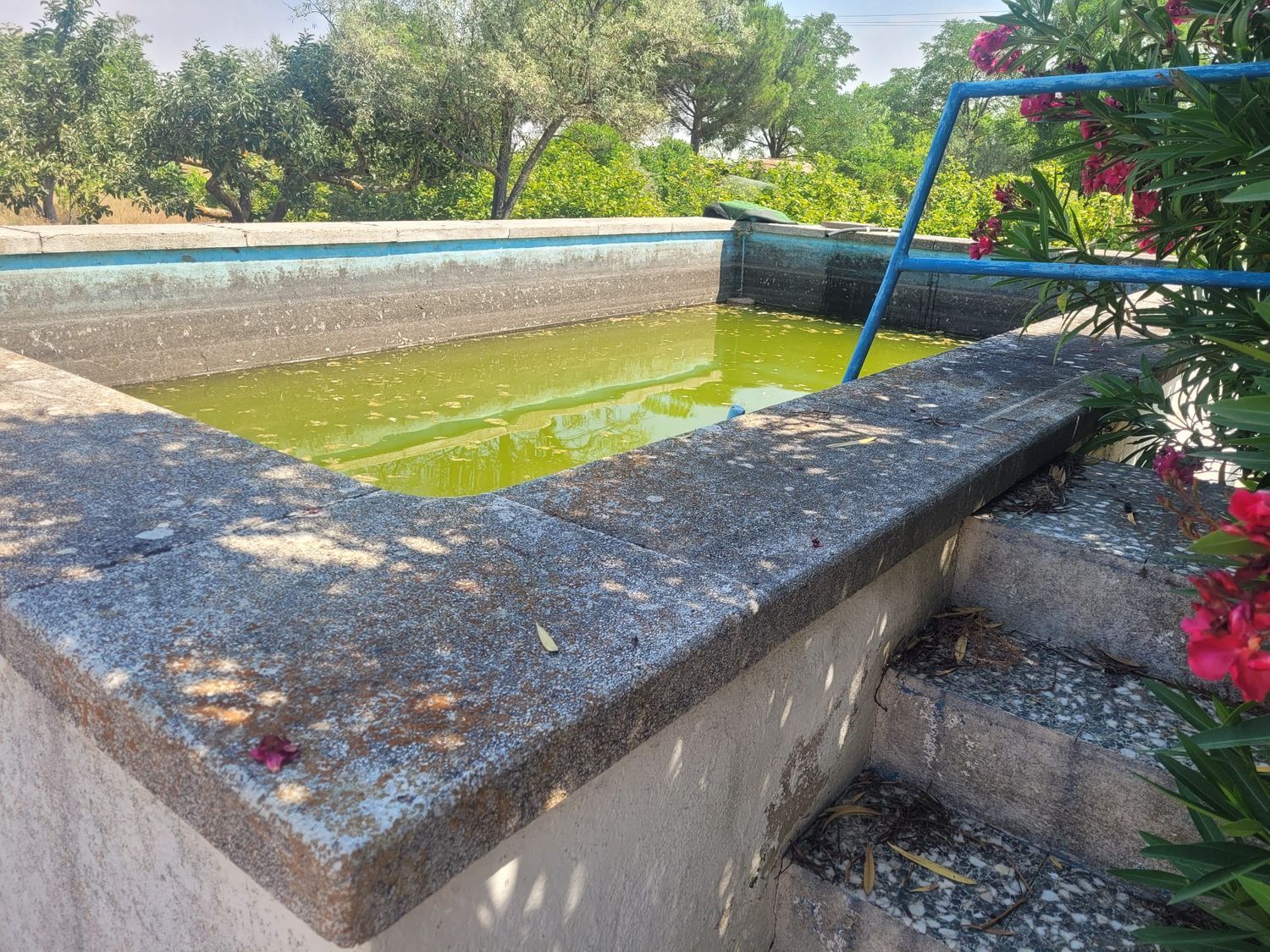 Casas o chalets-Venta-Matapozuelos-1834422-Foto-80