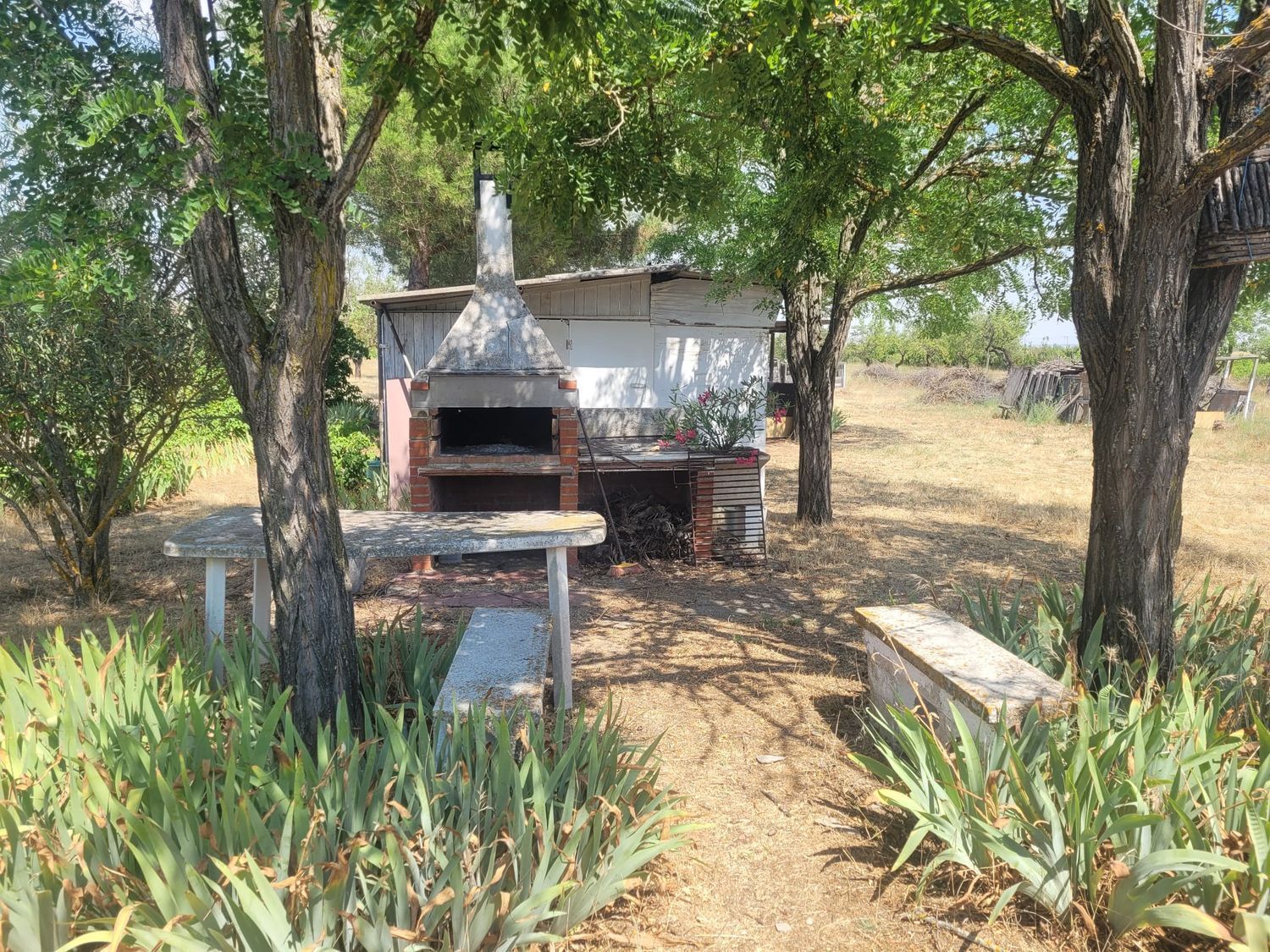 Casas o chalets-Venta-Matapozuelos-1834422-Foto-85