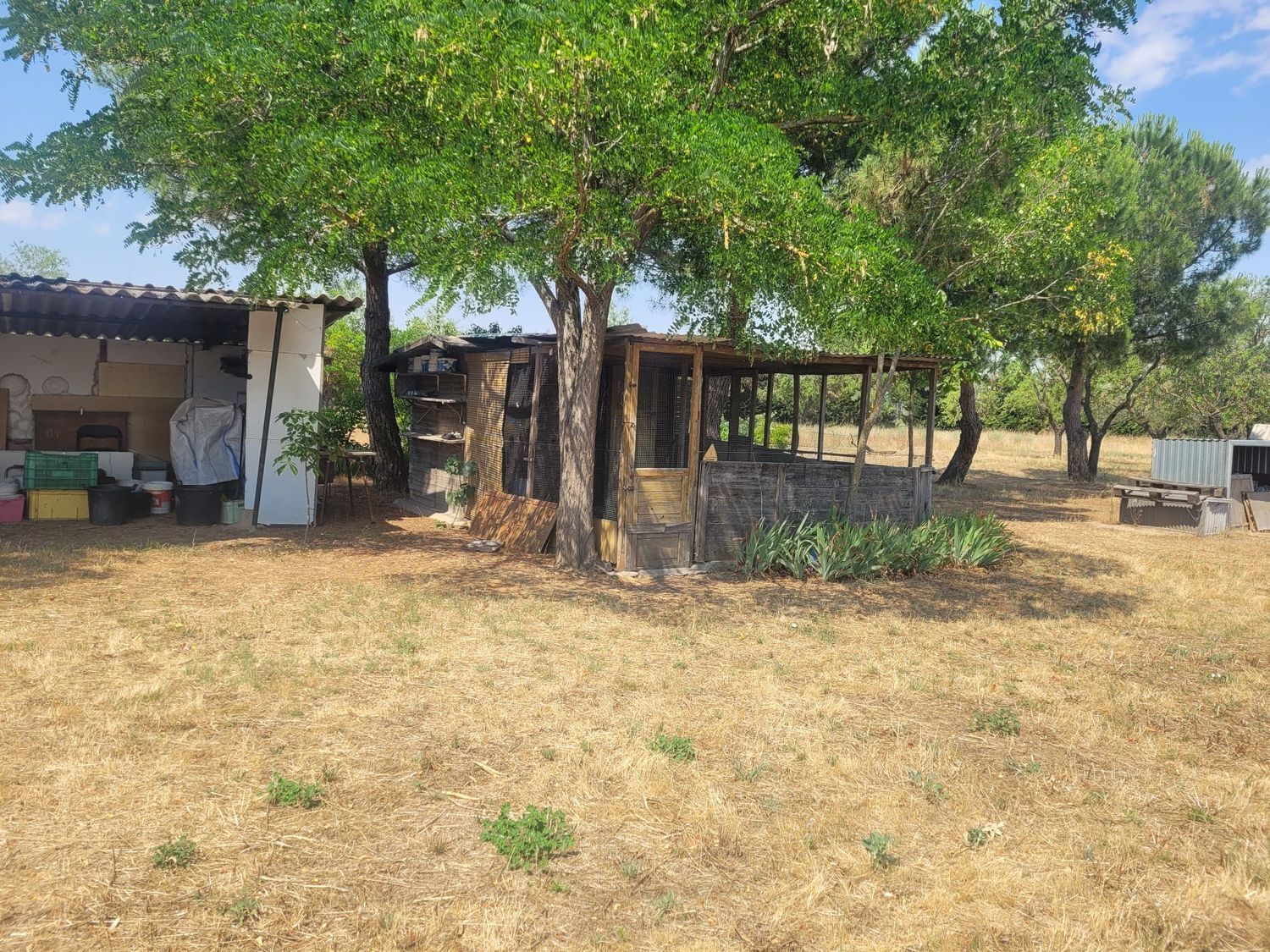 Casas o chalets-Venta-Matapozuelos-1834422-Foto-86