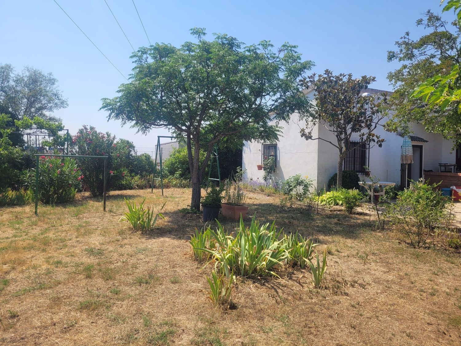 Casas o chalets-Venta-Matapozuelos-1834422-Foto-90