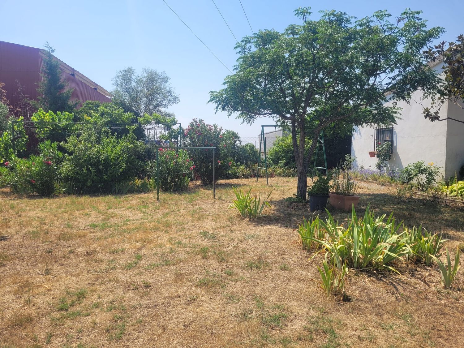 Casas o chalets-Venta-Matapozuelos-1834422-Foto-91