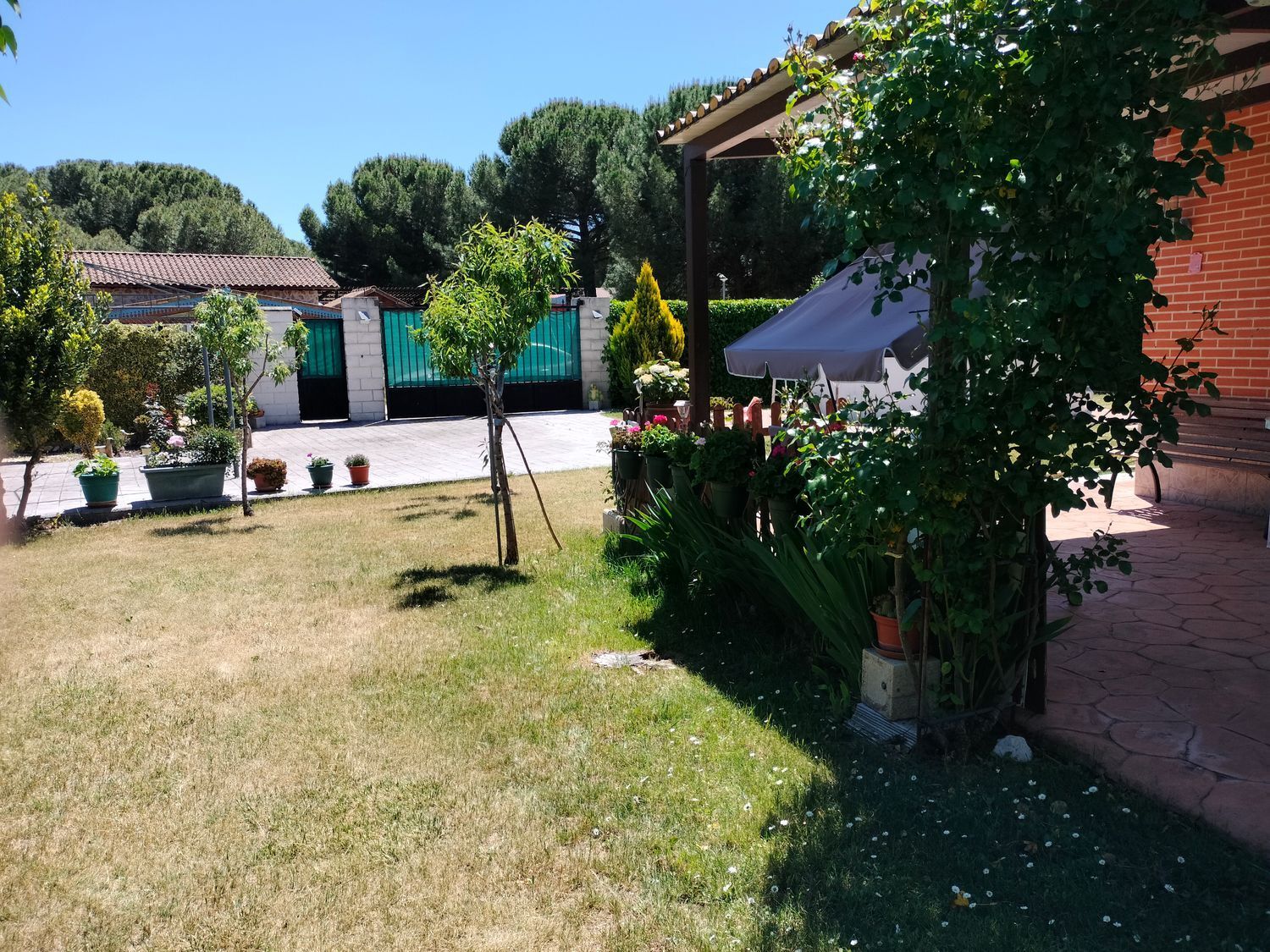 Casas o chalets-Venta-Traspinedo-1746721-Foto-54