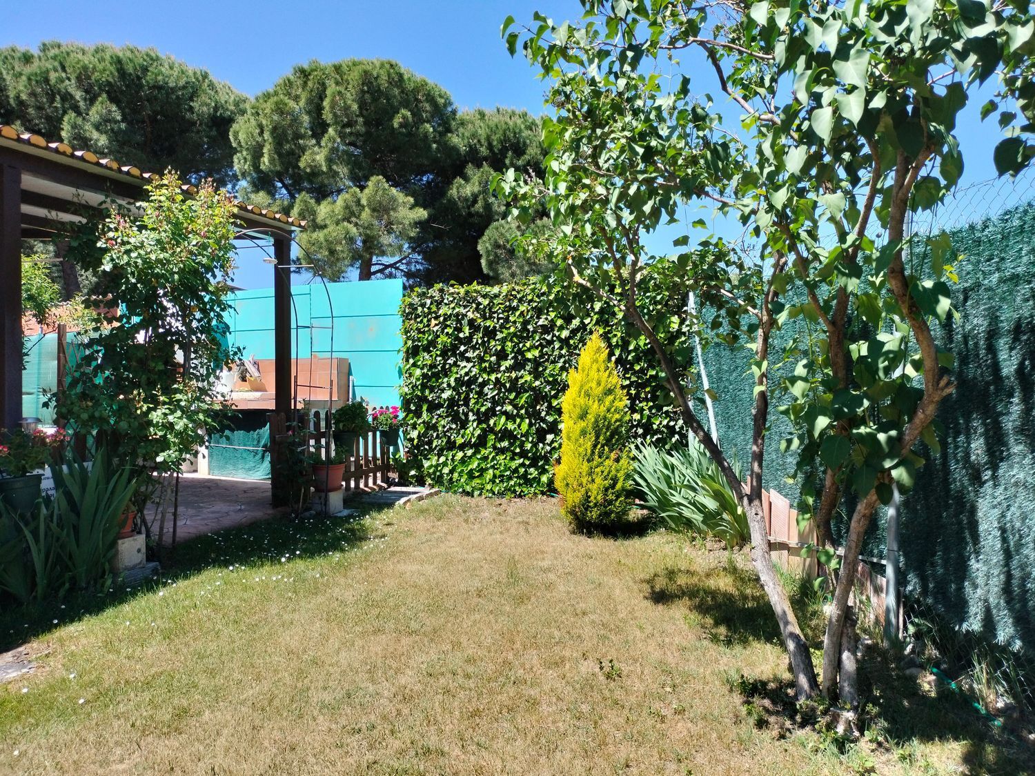 Casas o chalets-Venta-Traspinedo-1746721-Foto-53