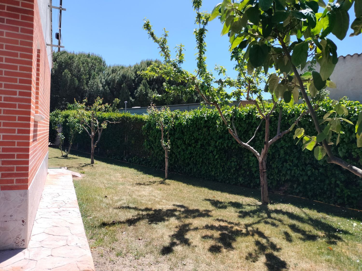 Casas o chalets-Venta-Traspinedo-1746721-Foto-61