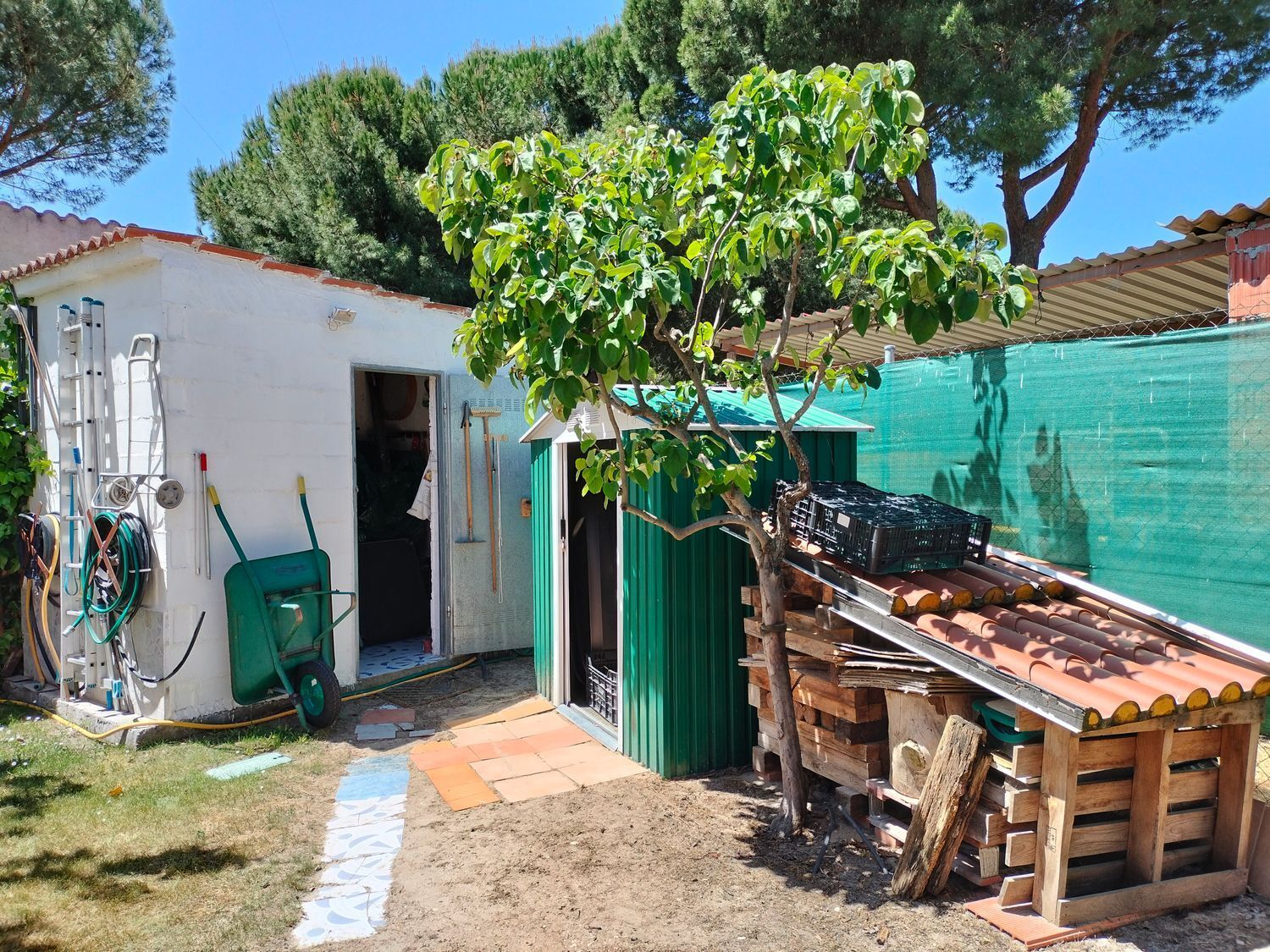 Casas o chalets-Venta-Traspinedo-1746721-Foto-62