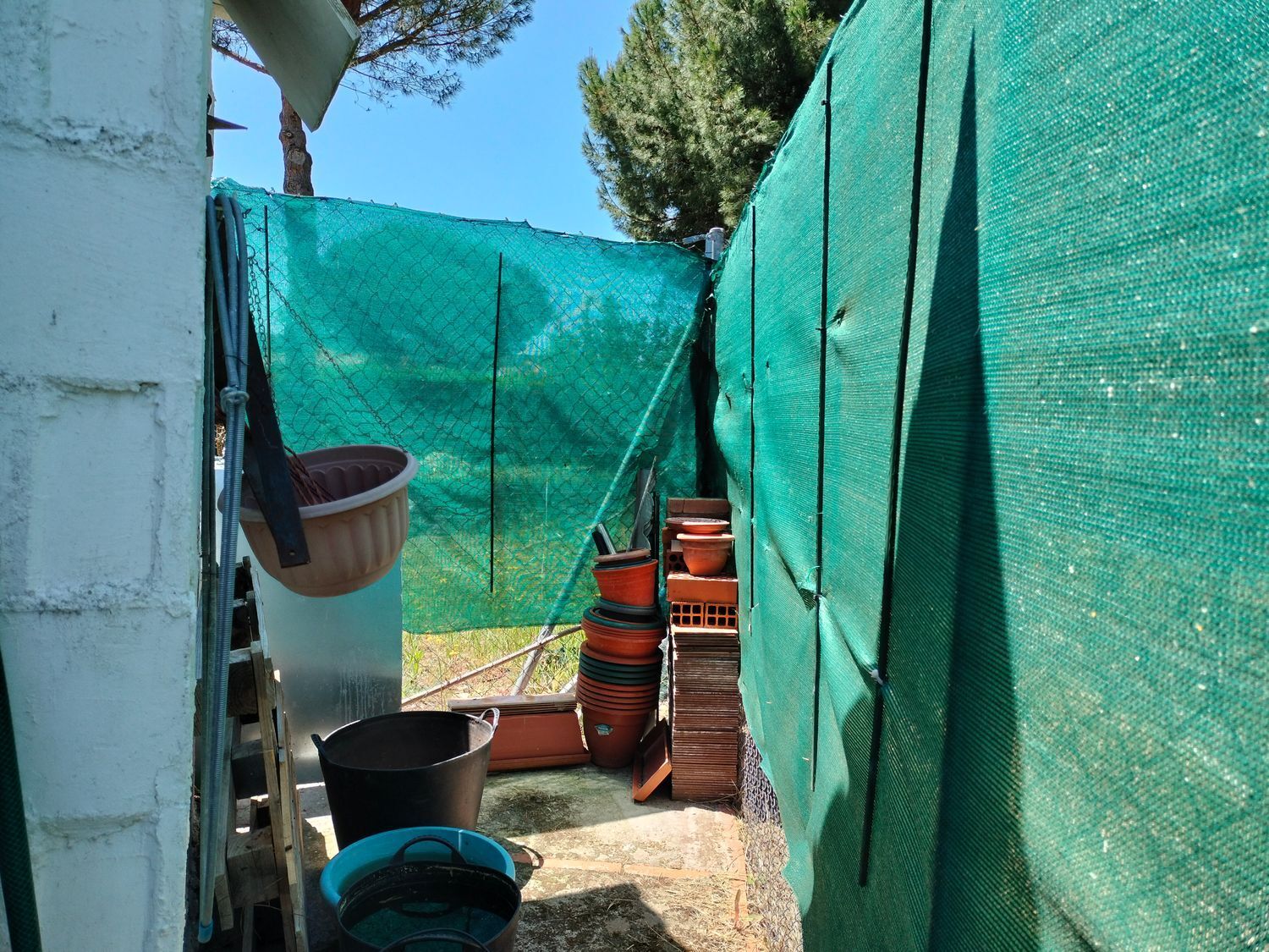Casas o chalets-Venta-Traspinedo-1746721-Foto-63