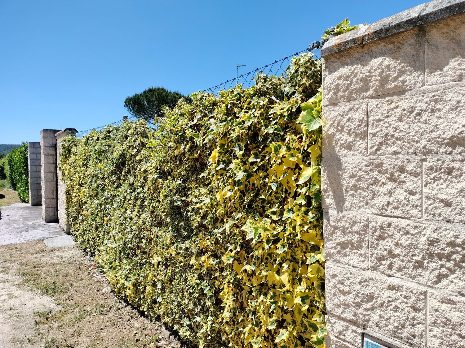Casas o chalets-Venta-Traspinedo-1746721-Foto-78