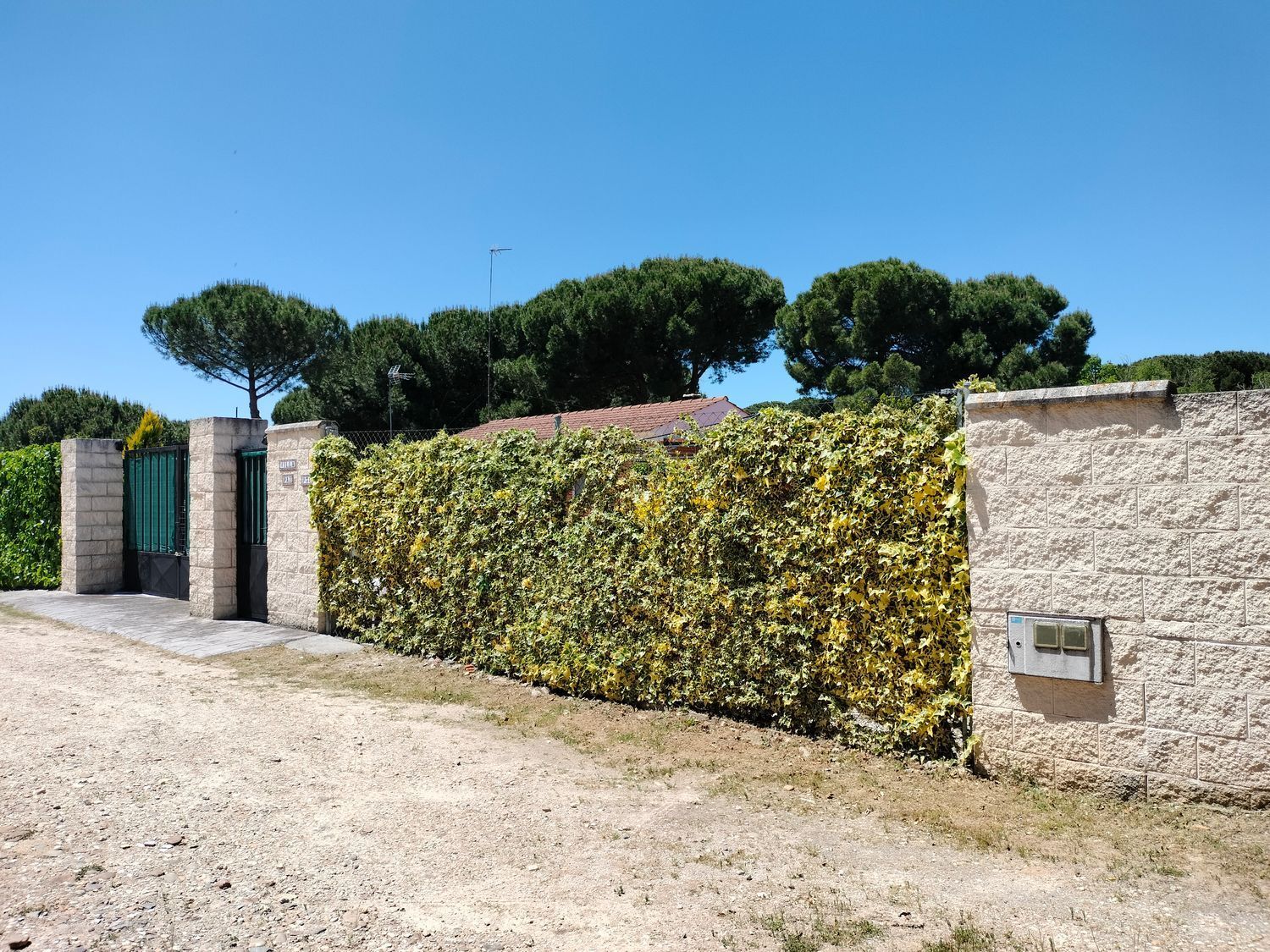 Casas o chalets-Venta-Traspinedo-1746721-Foto-81