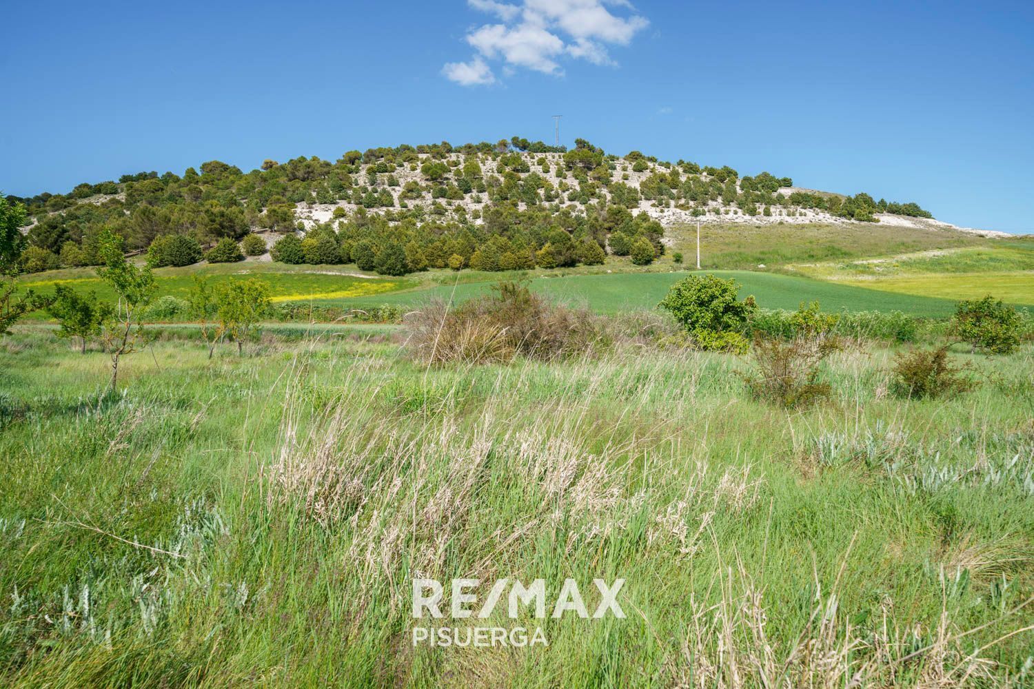 Casas o chalets-Venta-Torrecilla de la Torre-1742509-Foto-75