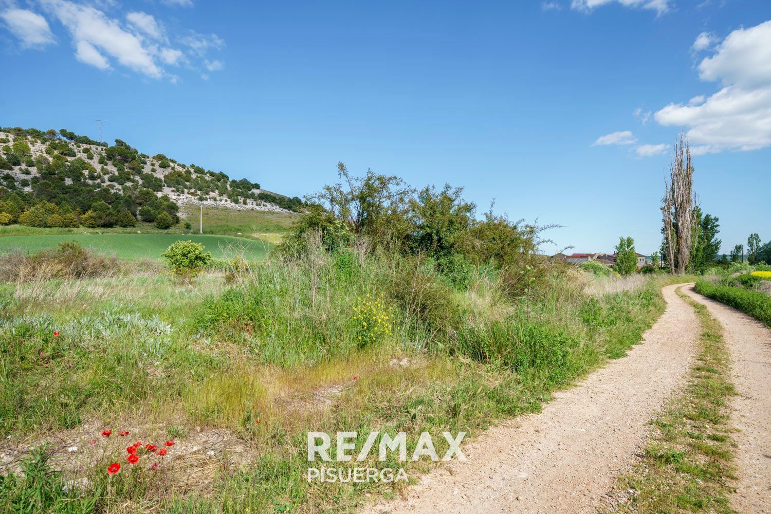 Casas o chalets-Venta-Torrecilla de la Torre-1742509-Foto-74