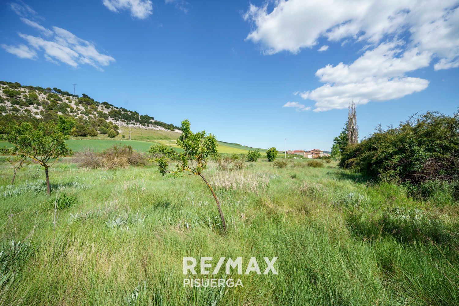 Casas o chalets-Venta-Torrecilla de la Torre-1742509-Foto-78