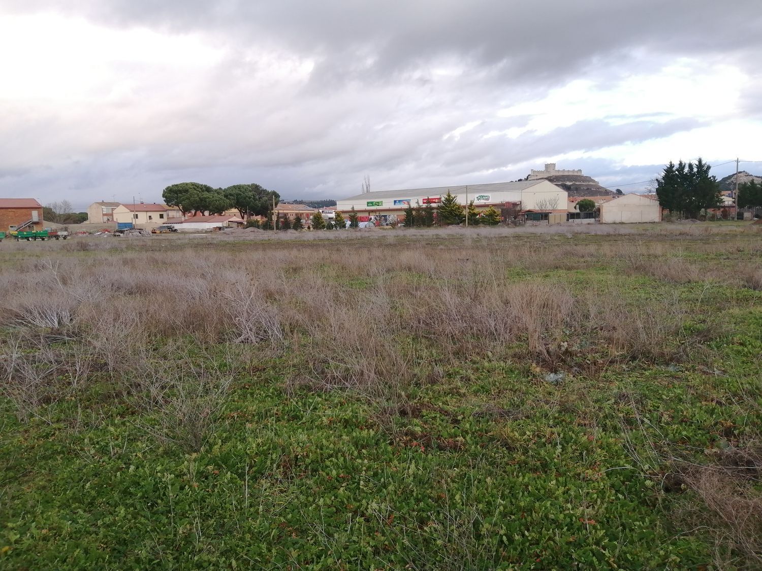 Fincas y solares-Venta-PeÃ±afiel-1640684-Foto-2