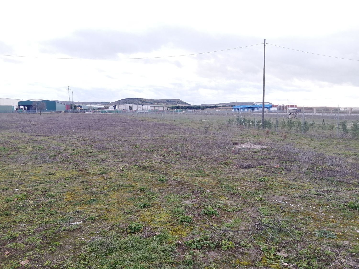 Fincas y solares-Venta-Peñafiel-1640684
