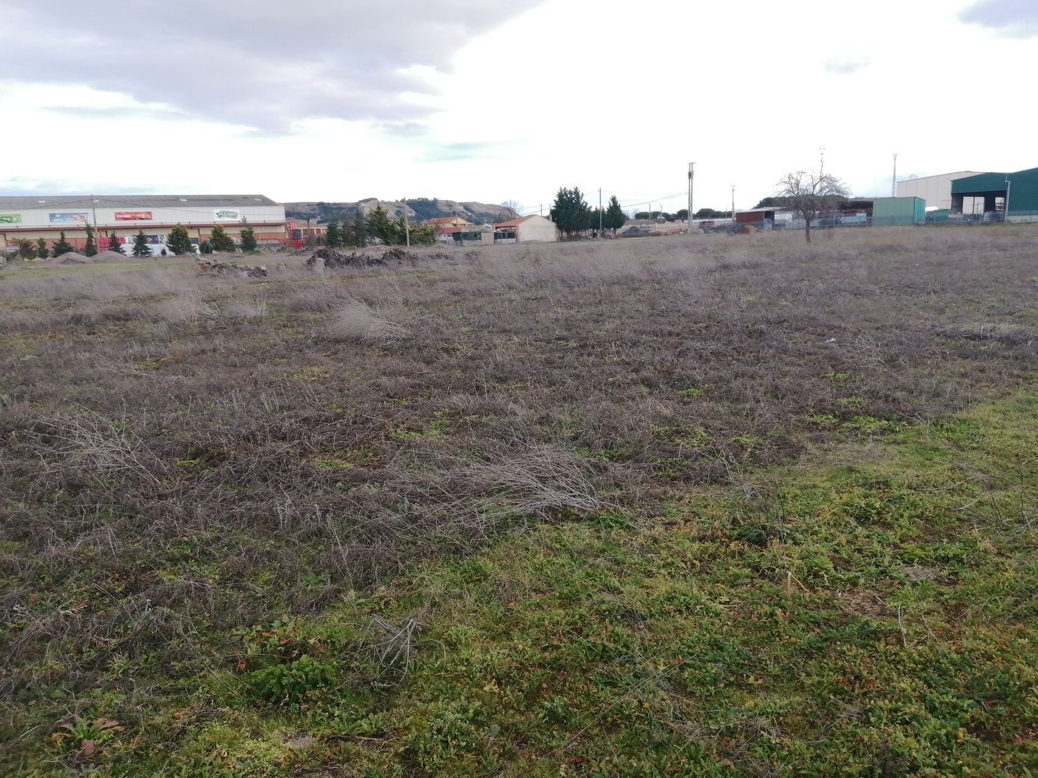 Fincas y solares-Venta-PeÃ±afiel-1640684-Foto-4