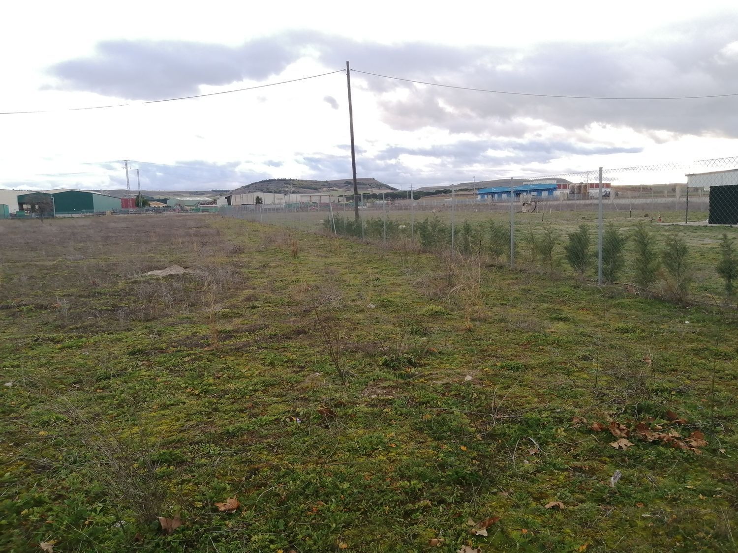 Fincas y solares-Venta-PeÃ±afiel-1640684-Foto-3