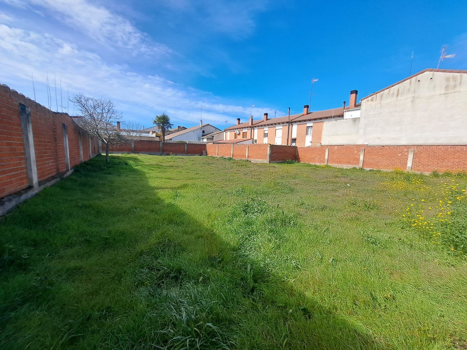 Fincas y solares-Venta-La Seca-1064793-Foto-2