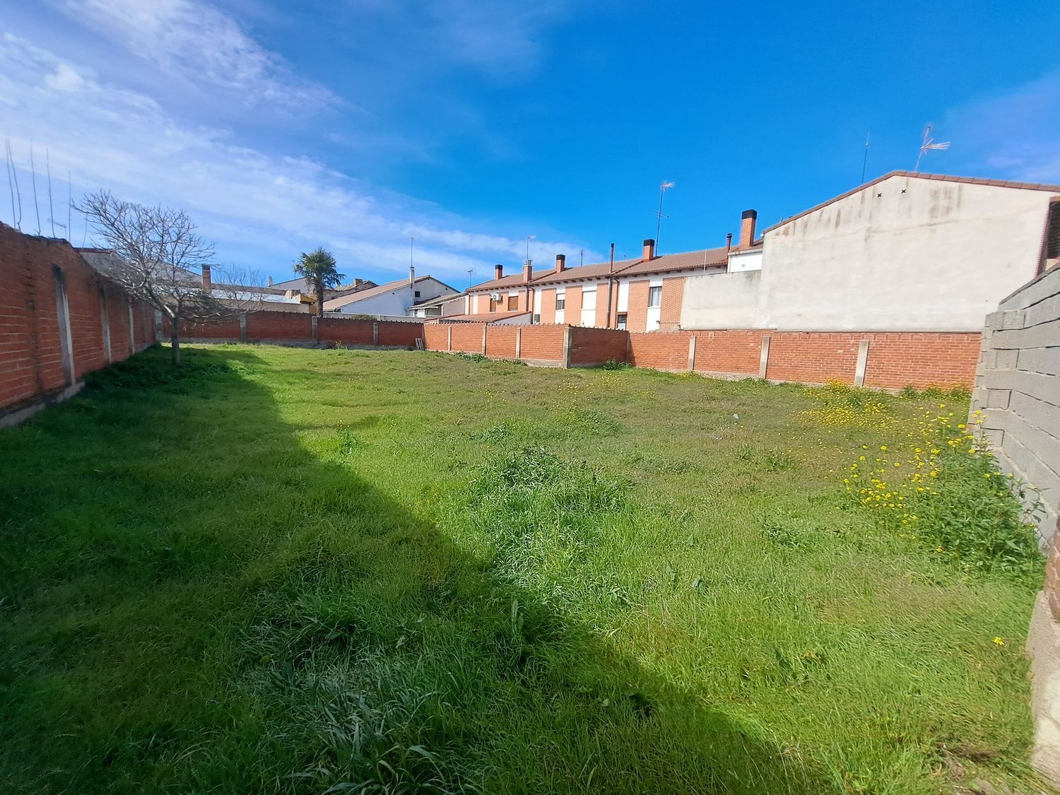 Fincas y solares-Venta-La Seca-1064793-Foto-9