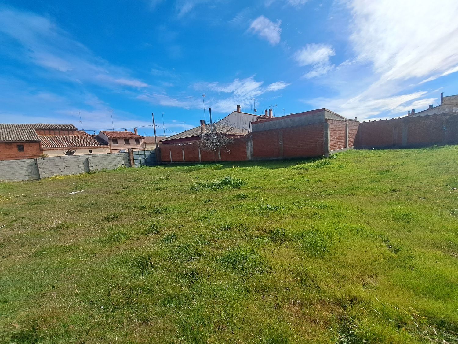 Fincas y solares-Venta-La Seca-1064793-Foto-10