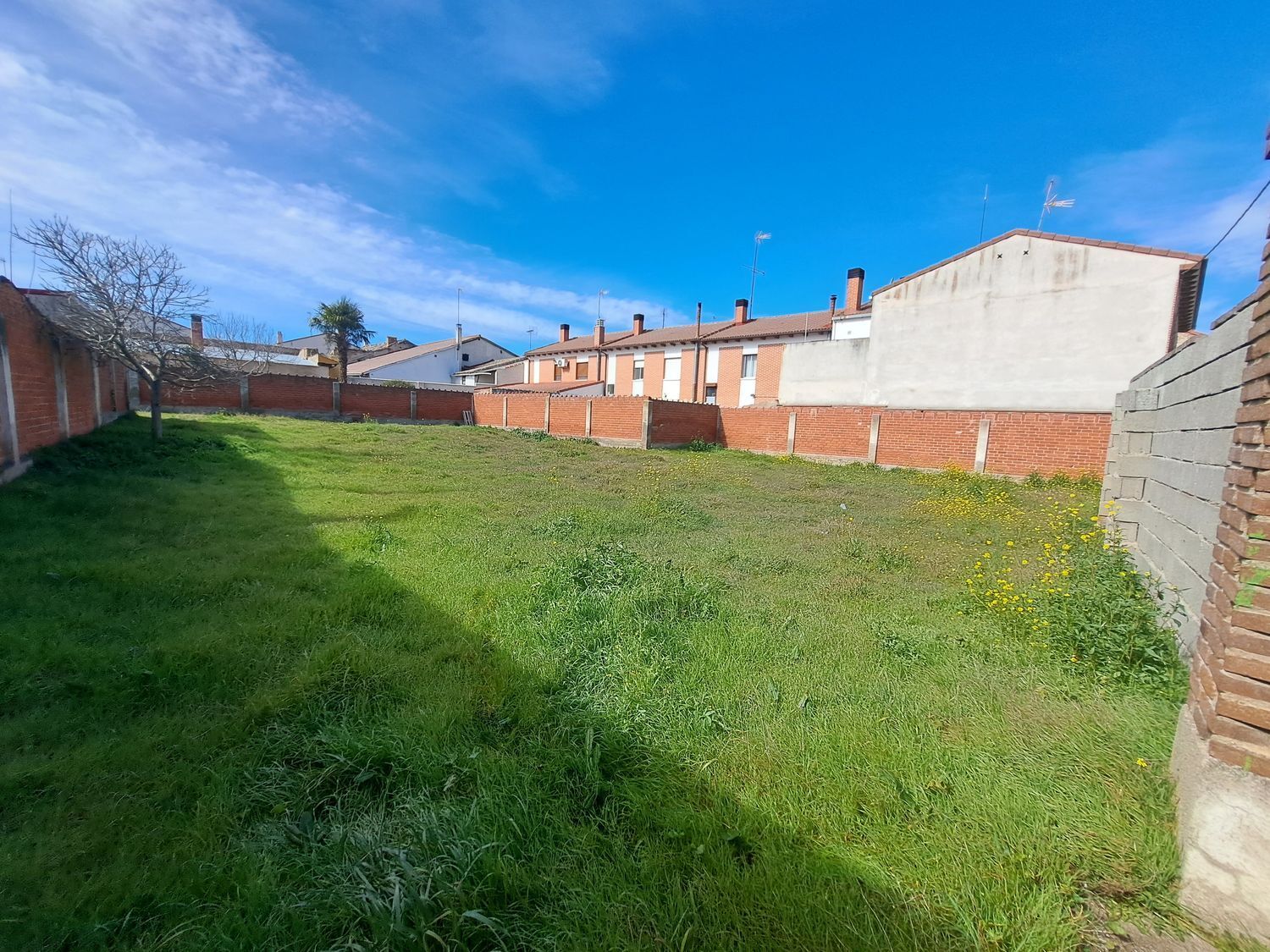 Fincas y solares-Venta-La Seca-1064793-Foto-5