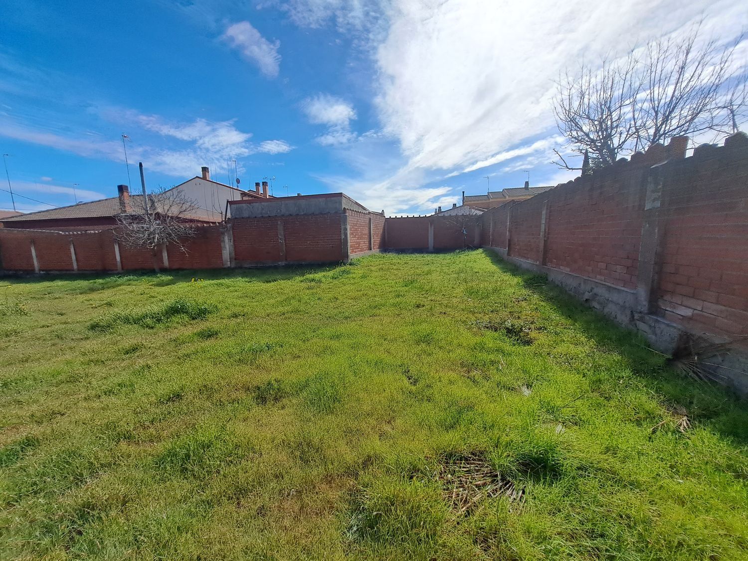 Fincas y solares-Venta-La Seca-1064793-Foto-8