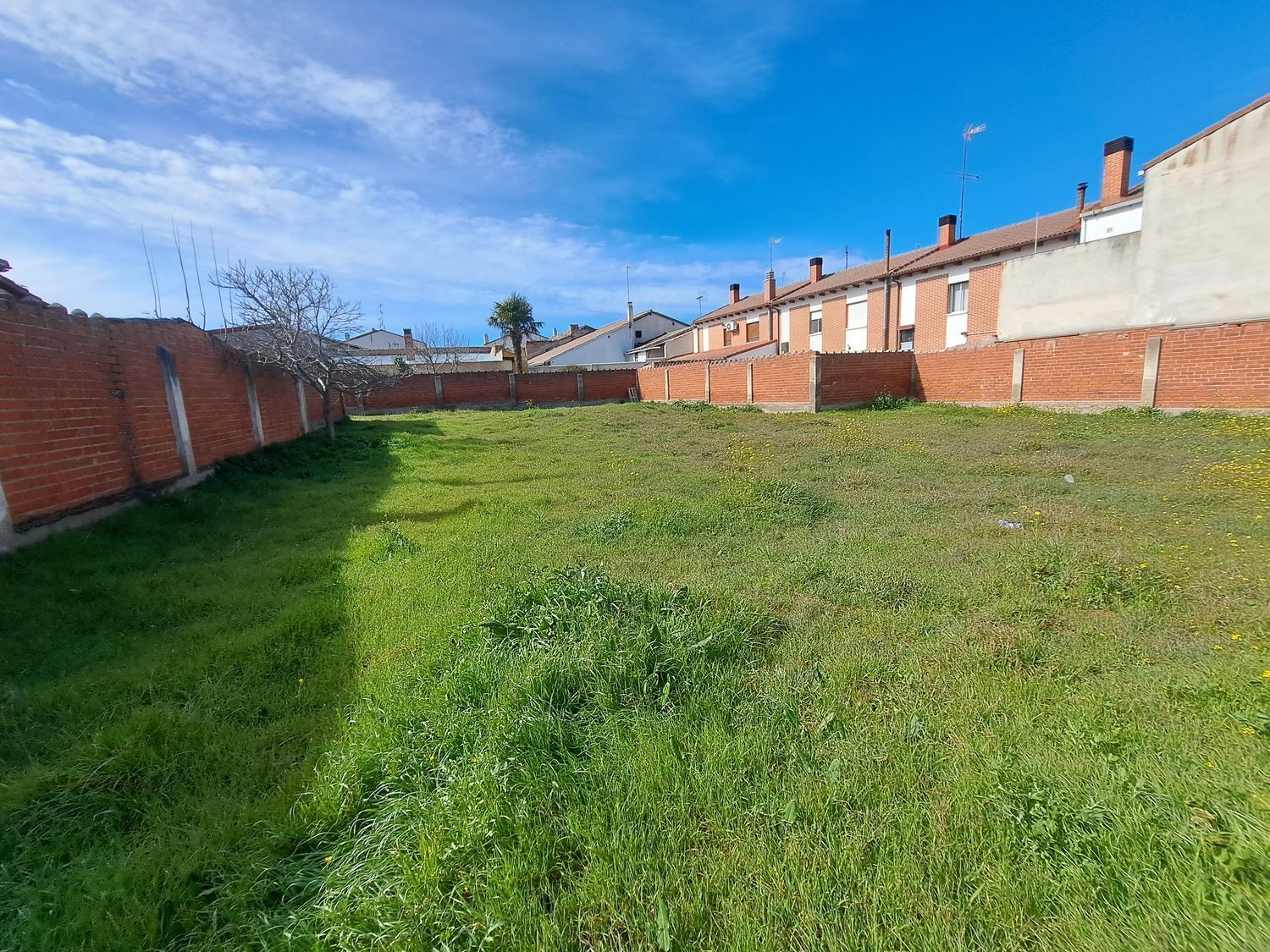 Fincas y solares-Venta-La Seca-1064793-Foto-12