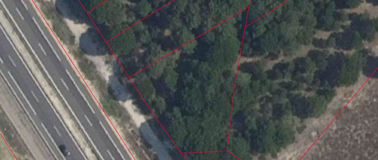 Fincas y solares-Venta-Aldeamayor de San MartÃ­n-1711530-Foto-14