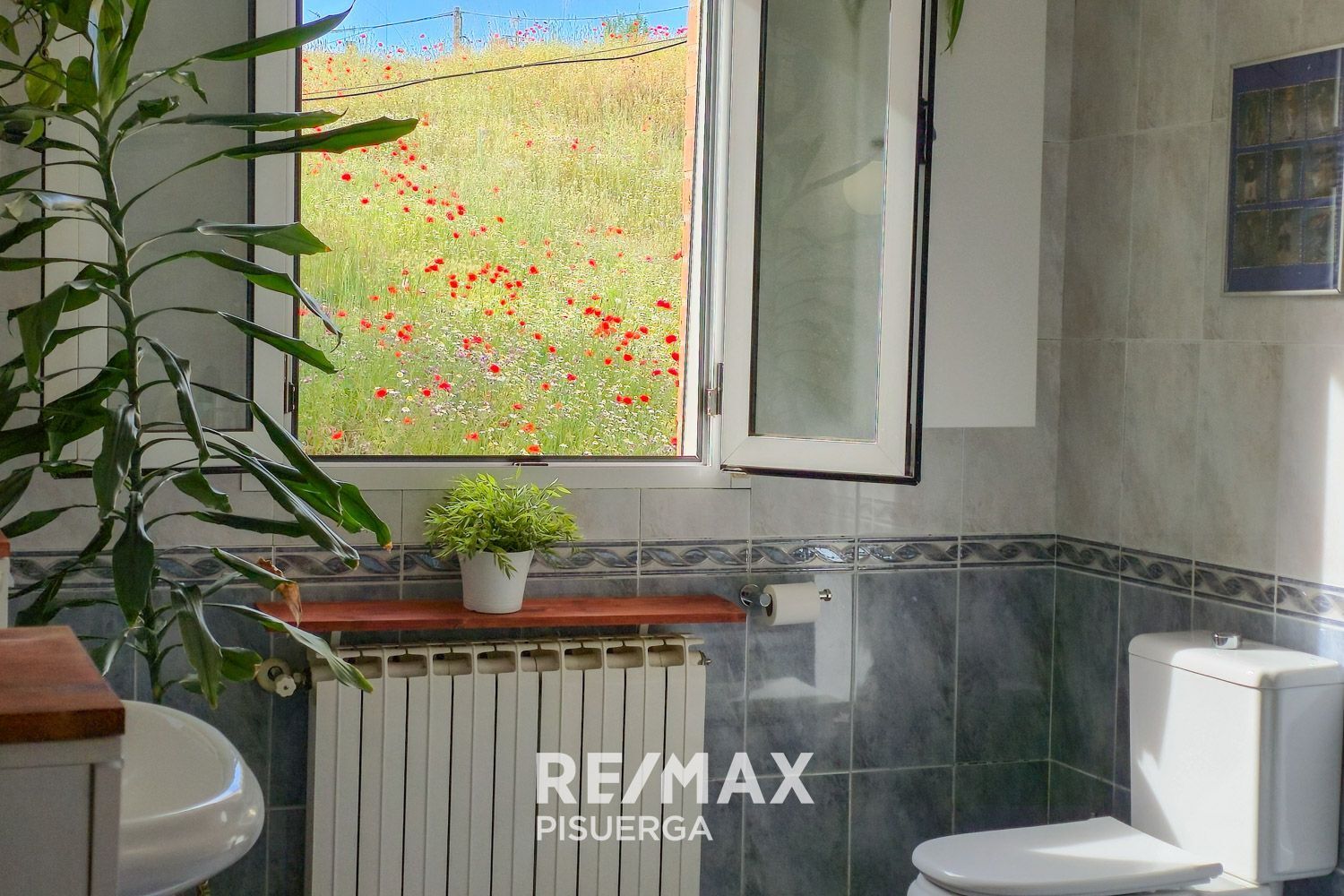 Casas o chalets-Venta-Cigales-1746512-Foto-45