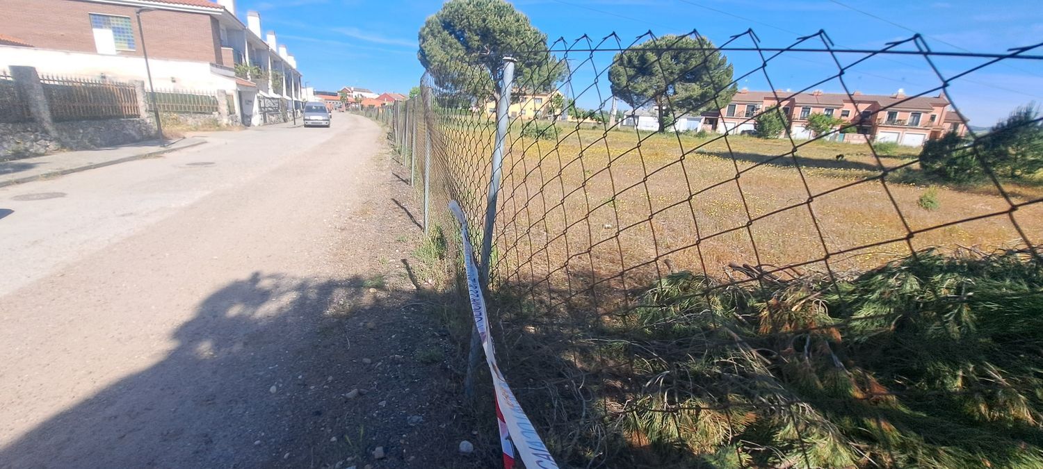 Fincas y solares-Venta-Laguna de Duero-1734169-Foto-8