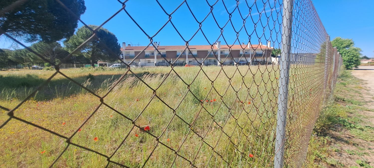 Fincas y solares-Venta-Laguna de Duero-1734169-Foto-4