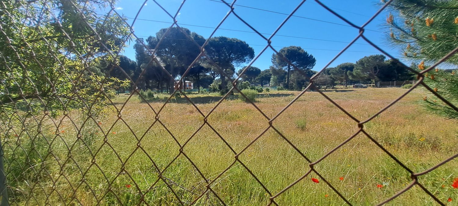 Fincas y solares-Venta-Laguna de Duero-1734169-Foto-9