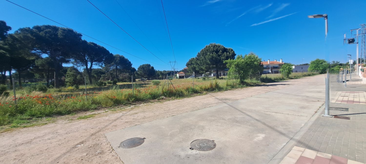 Fincas y solares-Venta-Laguna de Duero-1734169-Foto-3