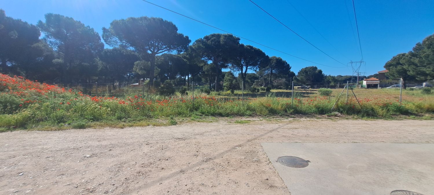 Fincas y solares-Venta-Laguna de Duero-1734169-Foto-6