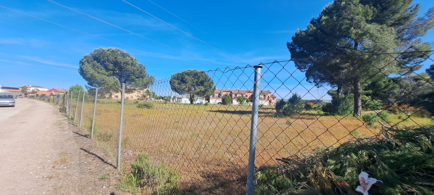 Fincas y solares-Venta-Laguna de Duero-1734169-Foto-12