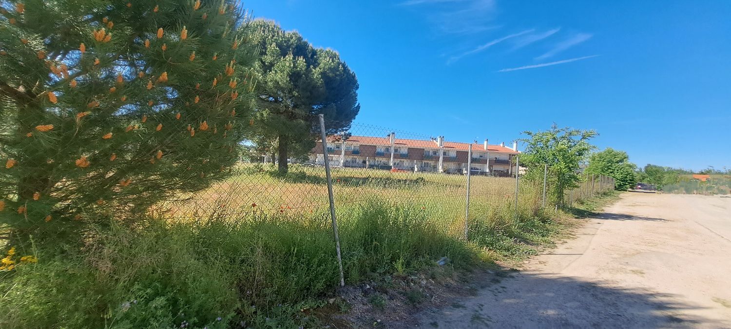 Fincas y solares-Venta-Laguna de Duero-1734169-Foto-15