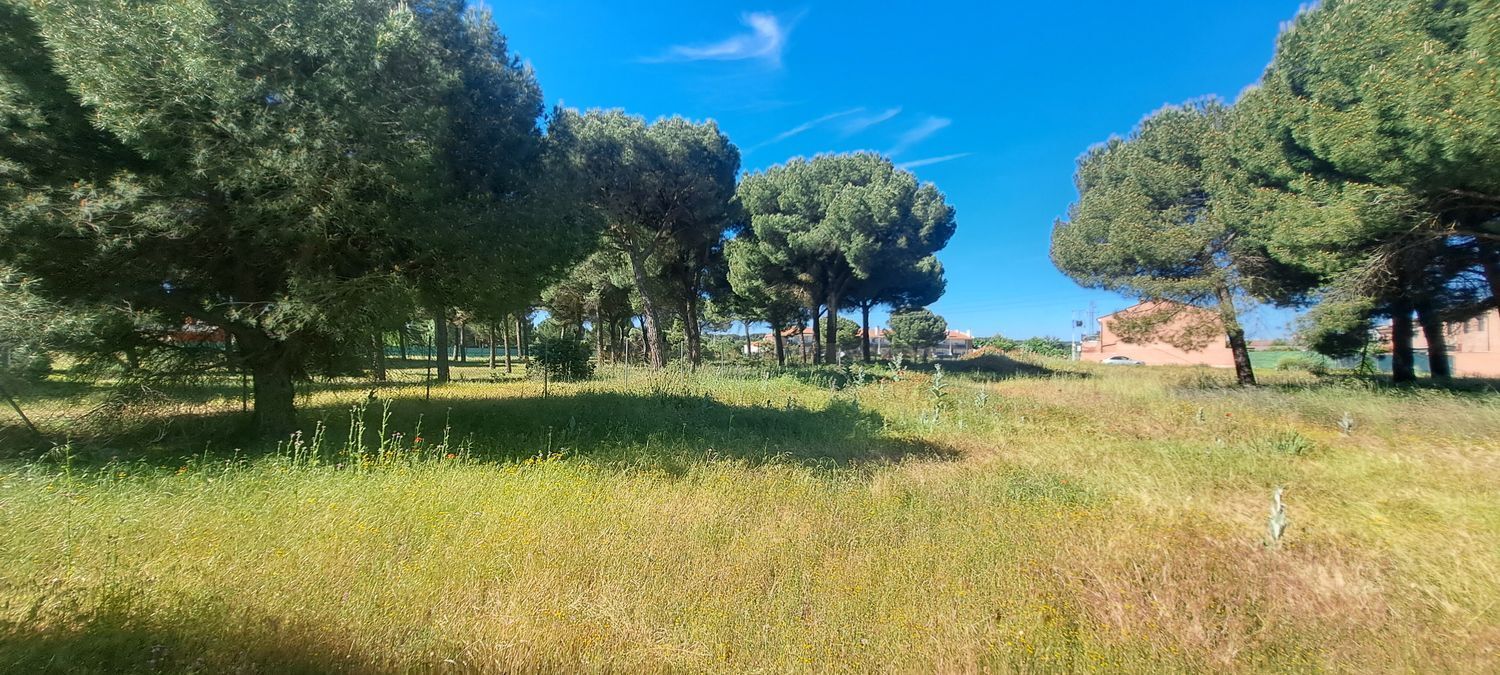 Fincas y solares-Venta-Laguna de Duero-1734169-Foto-17