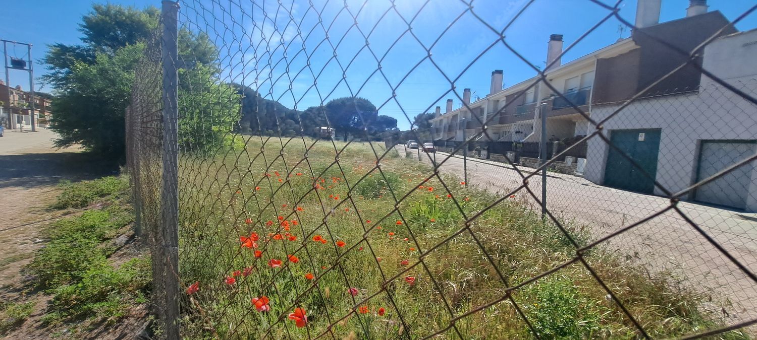 Fincas y solares-Venta-Laguna de Duero-1734169-Foto-19