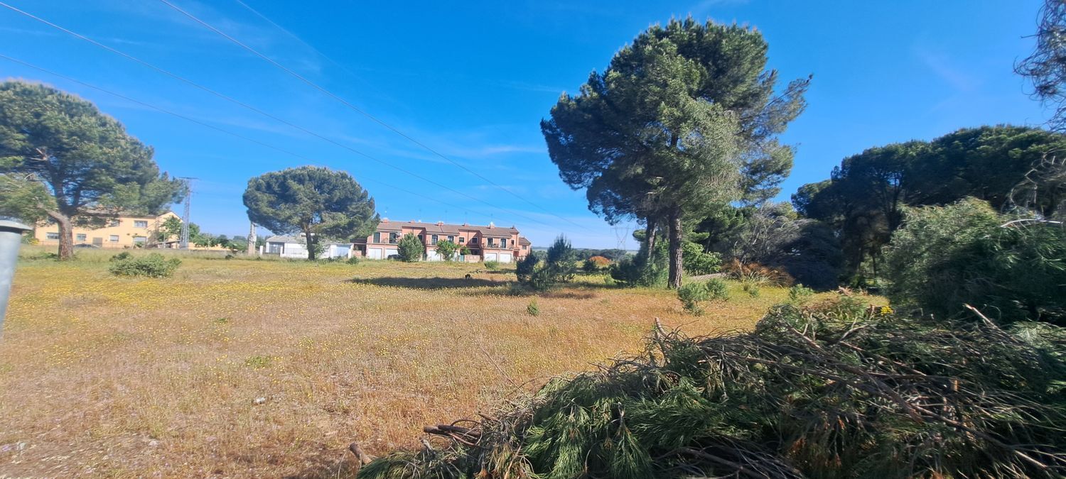 Fincas y solares-Venta-Laguna de Duero-1734169-Foto-21