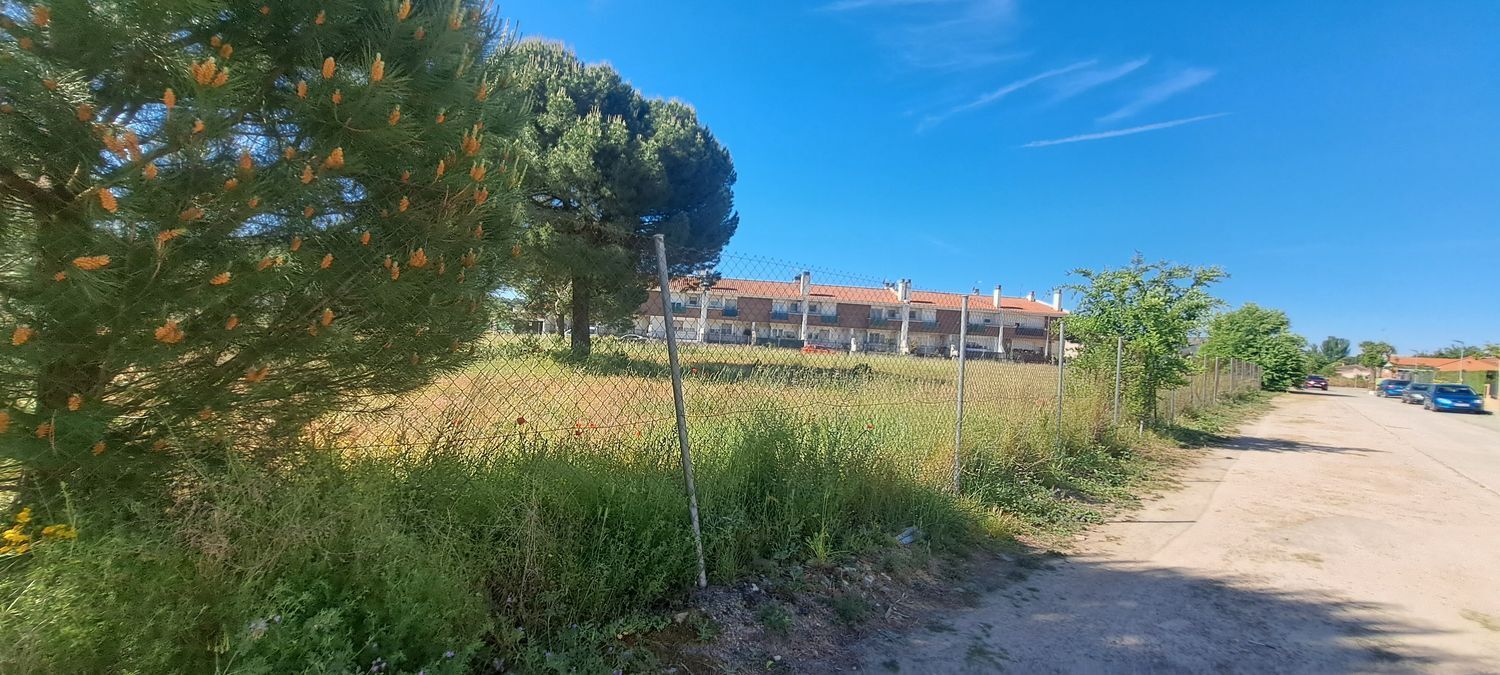 Fincas y solares-Venta-Laguna de Duero-1734169-Foto-24