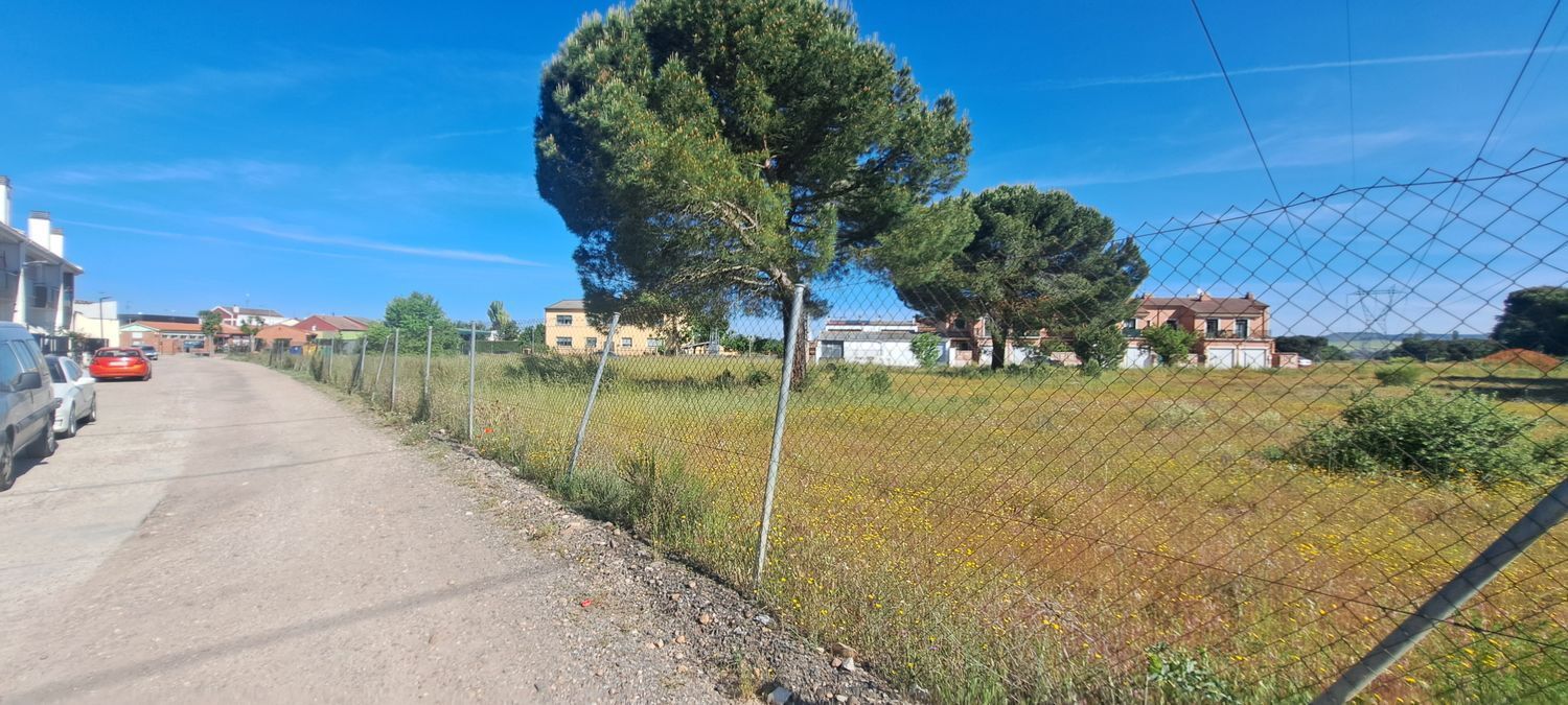 Fincas y solares-Venta-Laguna de Duero-1734169-Foto-25