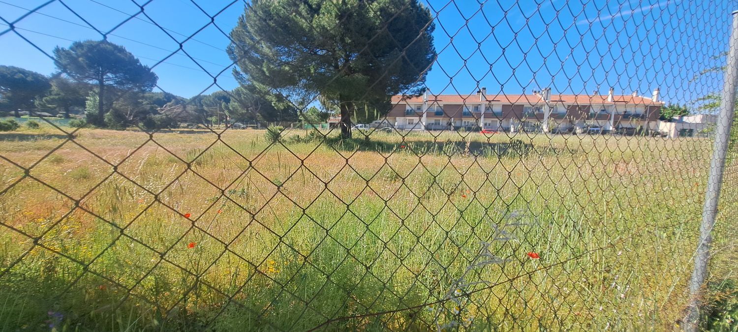 Fincas y solares-Venta-Laguna de Duero-1734169-Foto-23