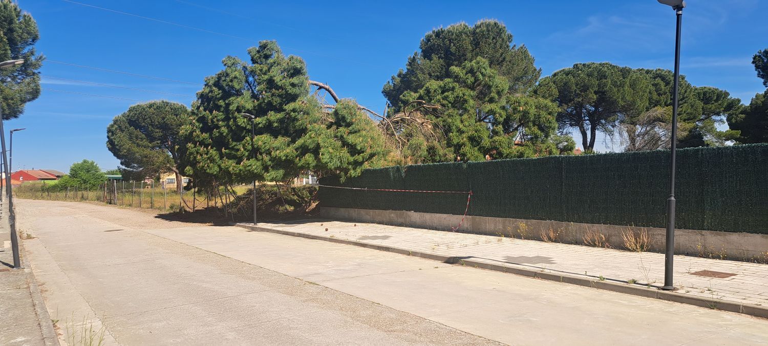 Fincas y solares-Venta-Laguna de Duero-1734169-Foto-31