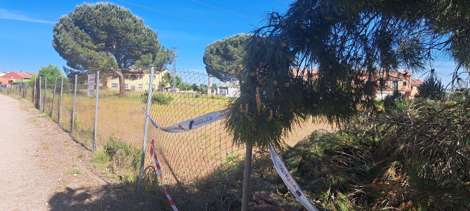 Fincas y solares-Venta-Laguna de Duero-1734169-Foto-34