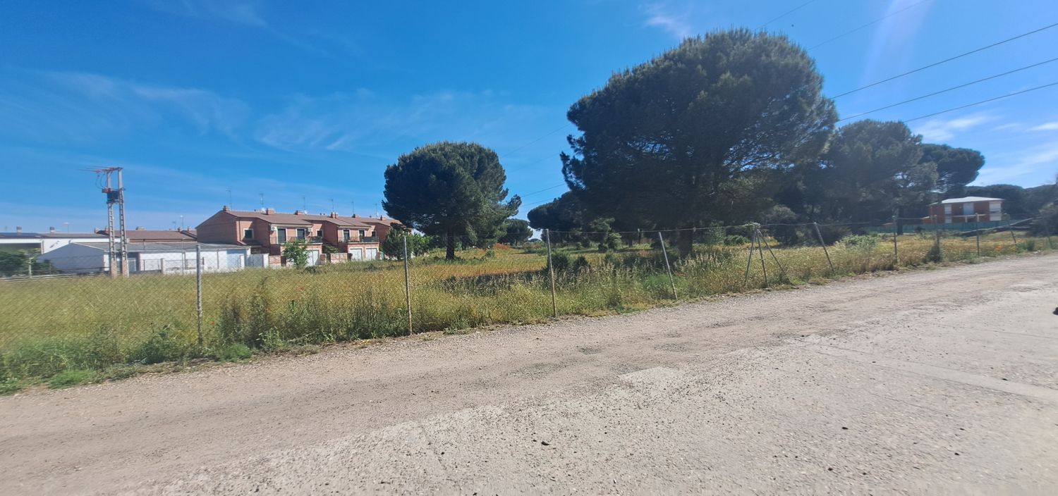 Fincas y solares-Venta-Laguna de Duero-1734169-Foto-36