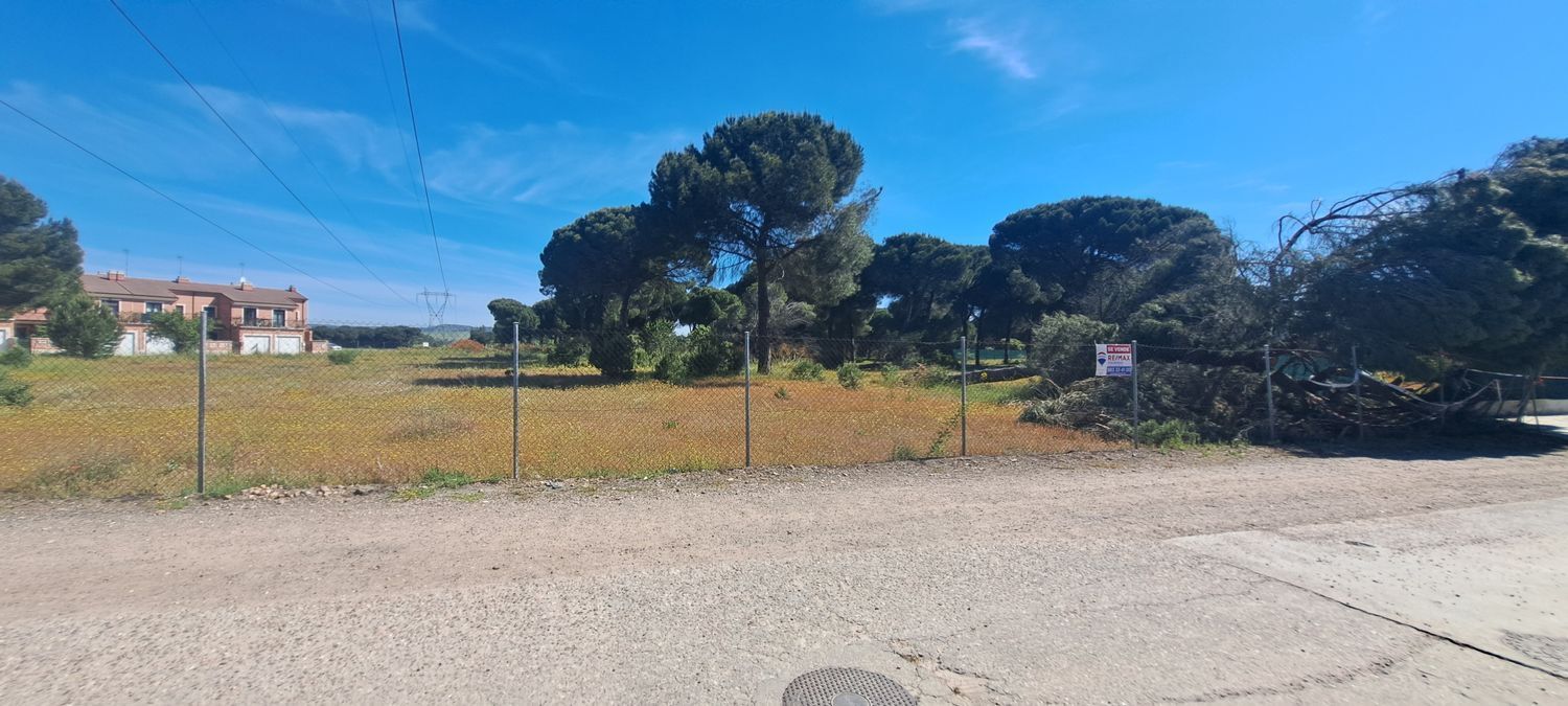Fincas y solares-Venta-Laguna de Duero-1734169-Foto-38