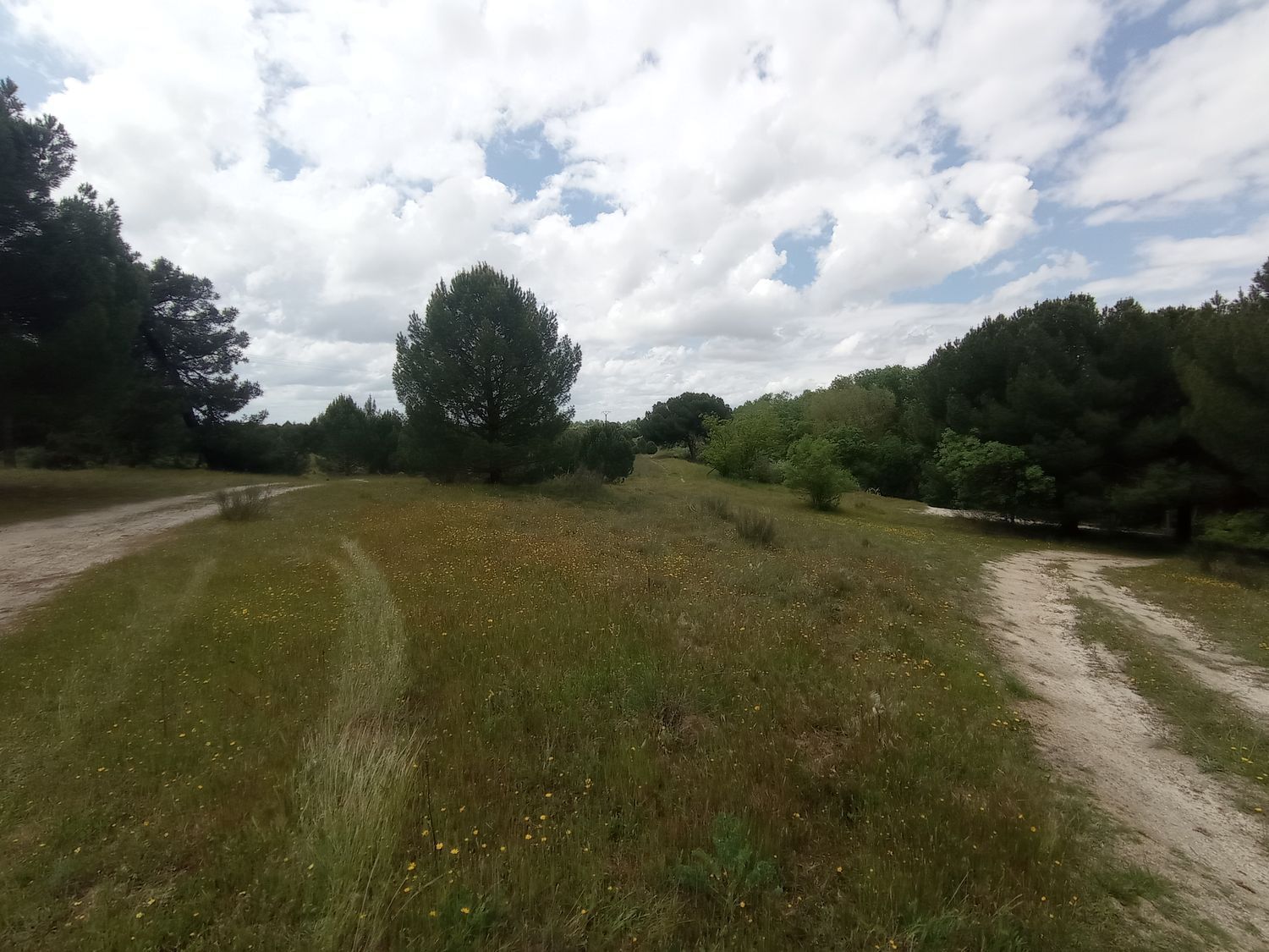 Fincas y solares-Venta-Matapozuelos-1743367-Foto-10