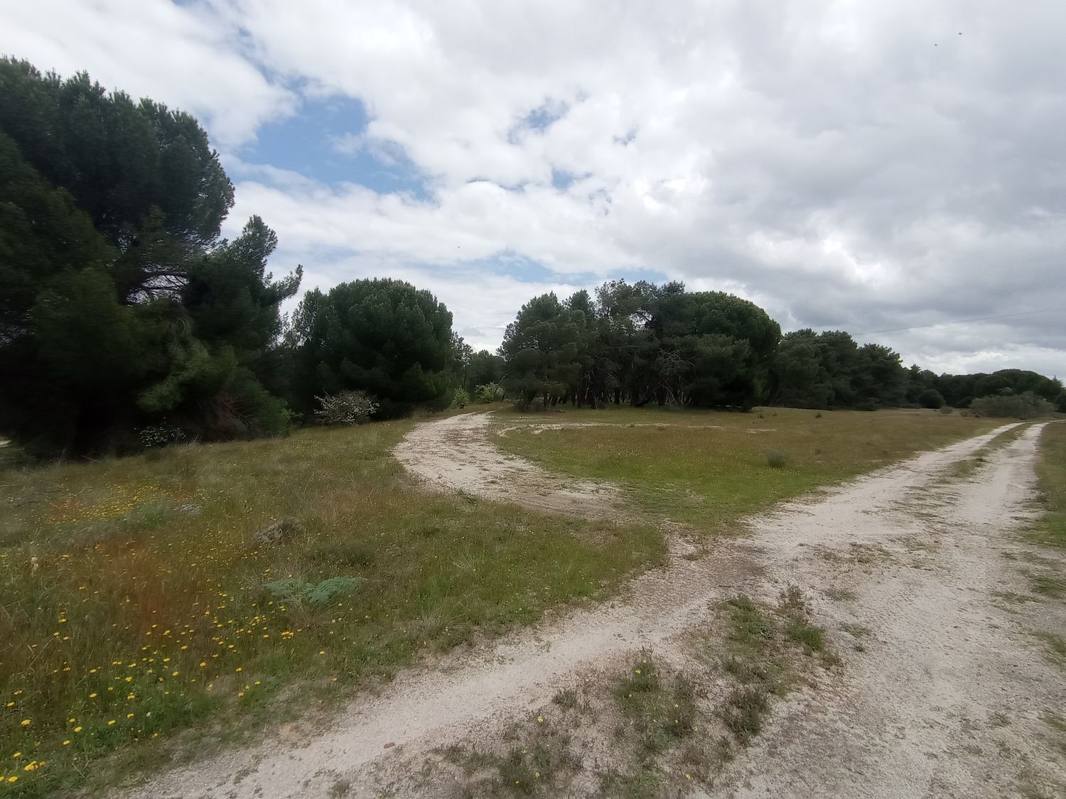 Fincas y solares-Venta-Matapozuelos-1743367-Foto-9