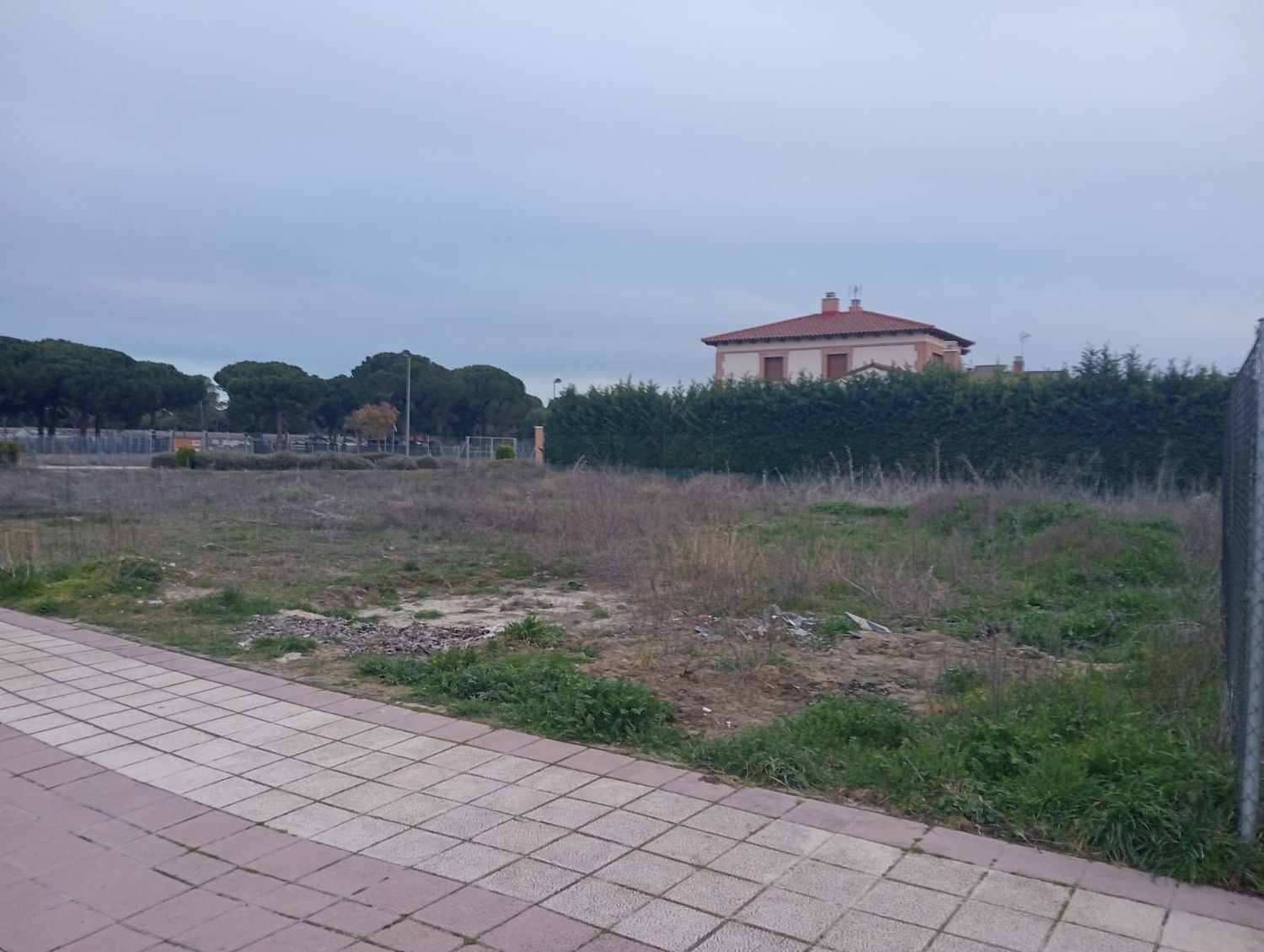 Fincas y solares-Venta-Aldeamayor de San MartÃ­n-1707681-Foto-6
