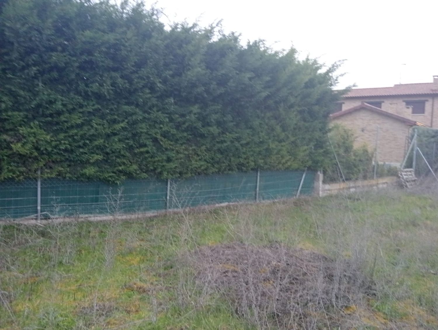 Fincas y solares-Venta-Aldeamayor de San MartÃ­n-1707681-Foto-9